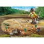 Sapaturi arheologice cu schelet de dinozaur